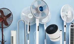 Rechargeable fans