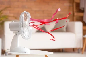 Table fan