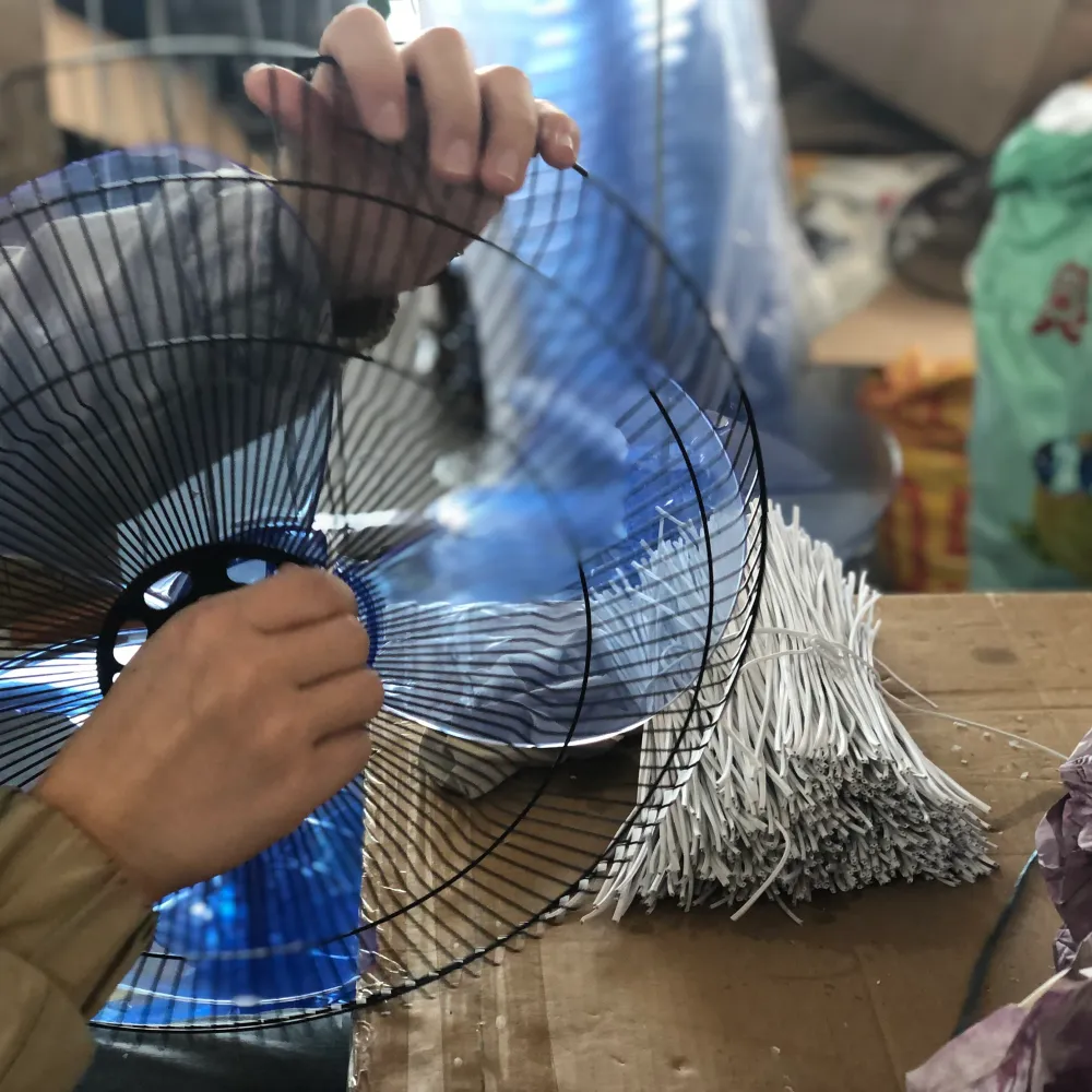 Fan guard