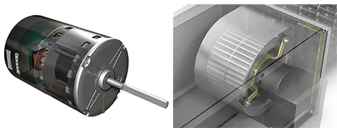 A composite image showing an electric motor and its application. On the left, a detailed render of a cylindrical electric motor is displayed, showing its drive shaft and part of its internal components. On the right, a cutaway diagram shows how that motor integrates into a centrifugal "squirrel cage" blower unit, illustrating its function as the driver for the fan.